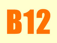  B12